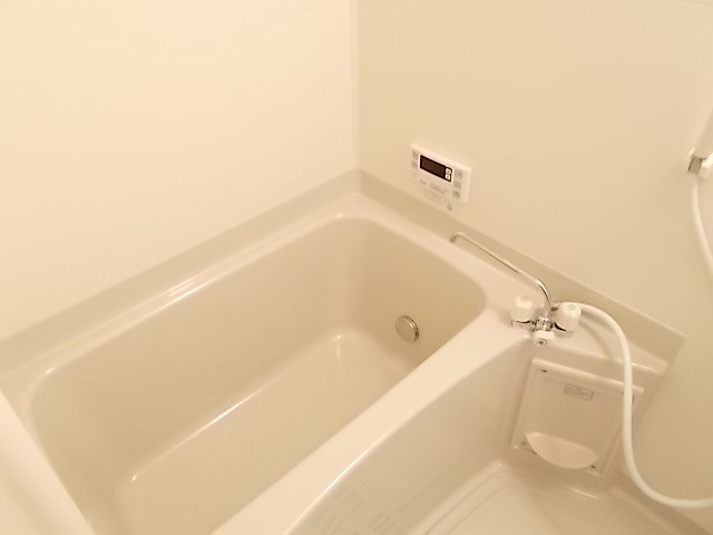 バス