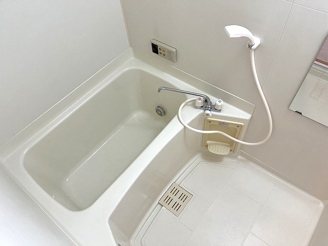 バス