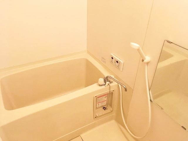 バス