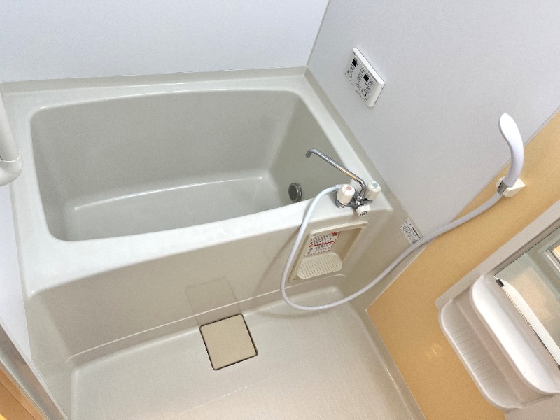 バス