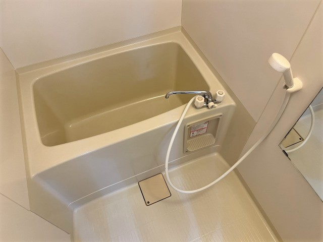 バス