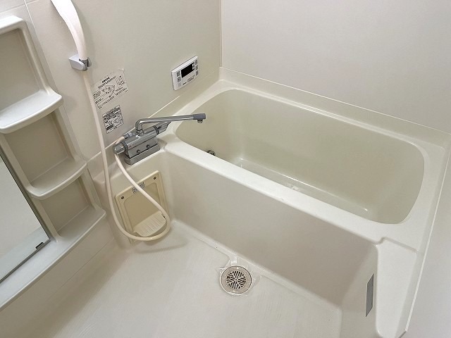 バス