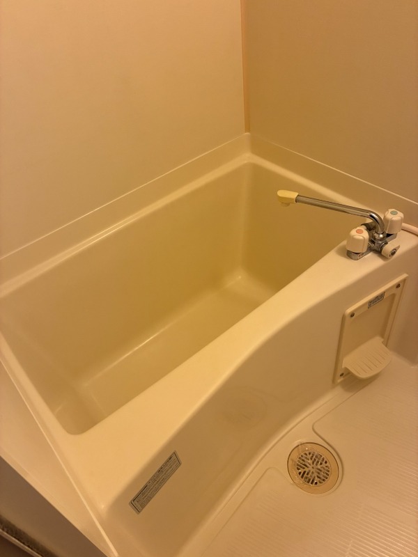 バス