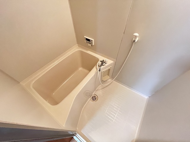バス