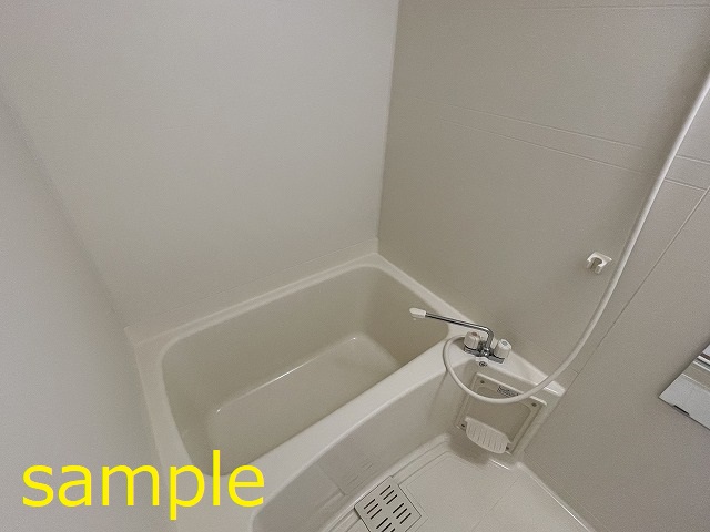 バス
