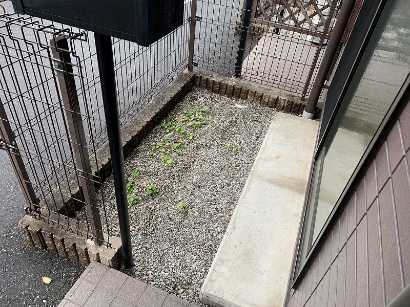 庭