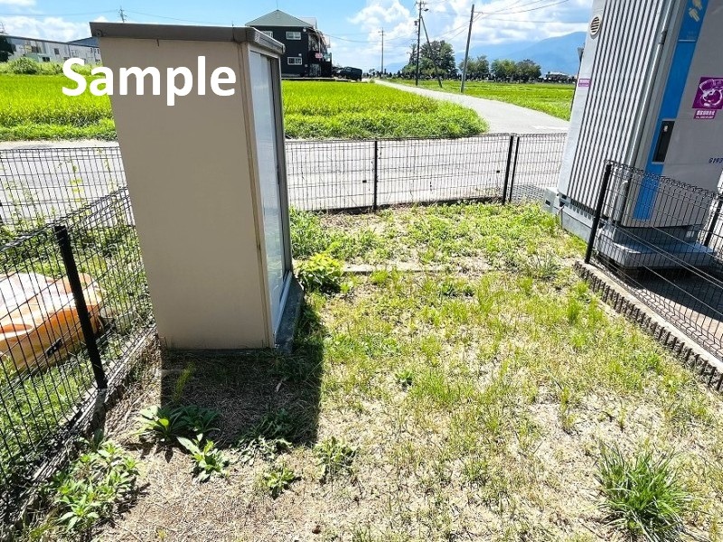 庭
