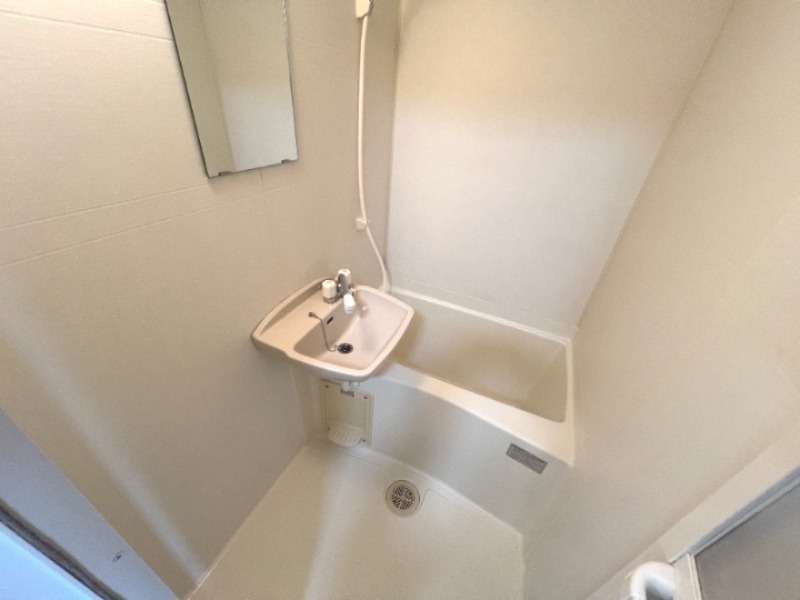 バス