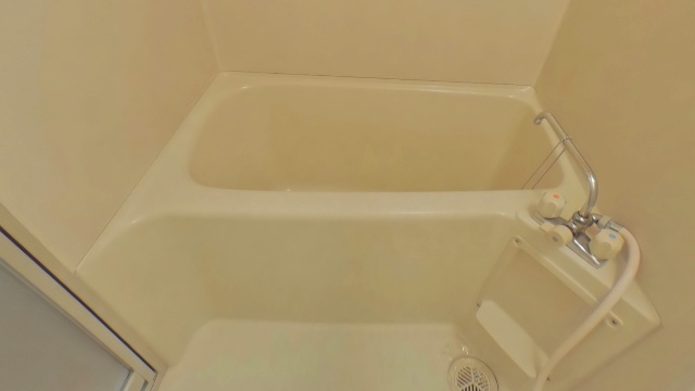 バス