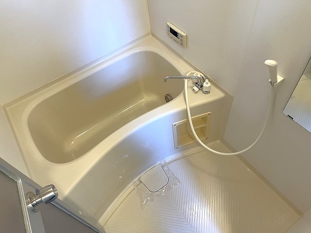 バス