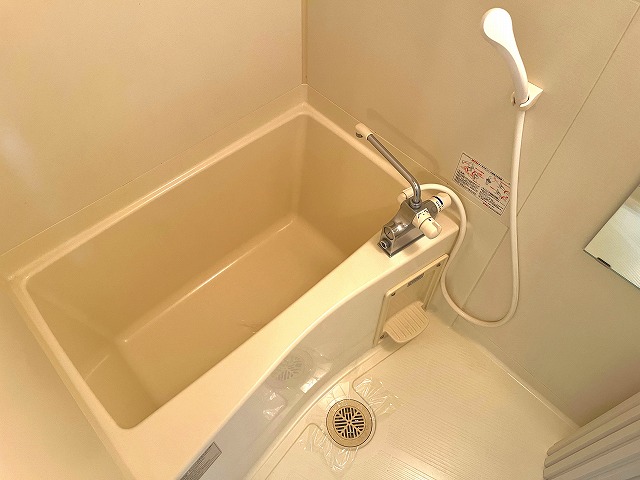 バス