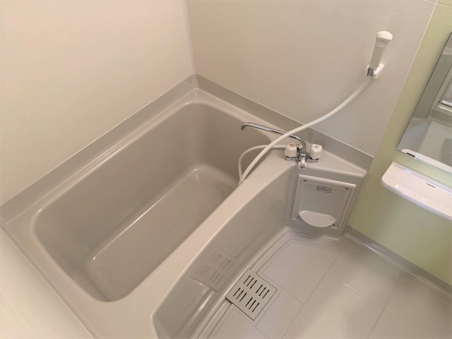 バス