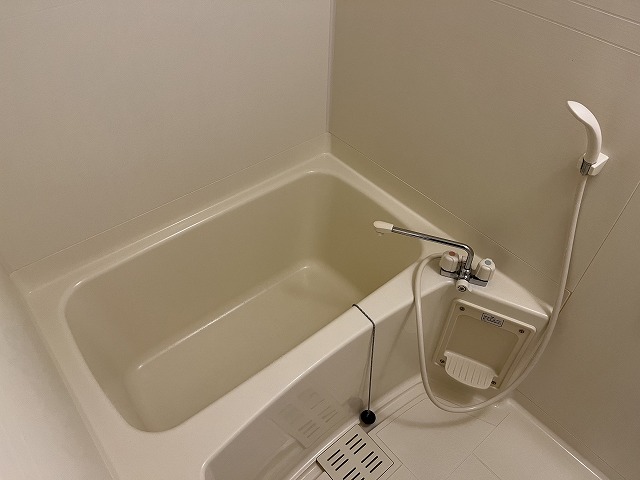 バス