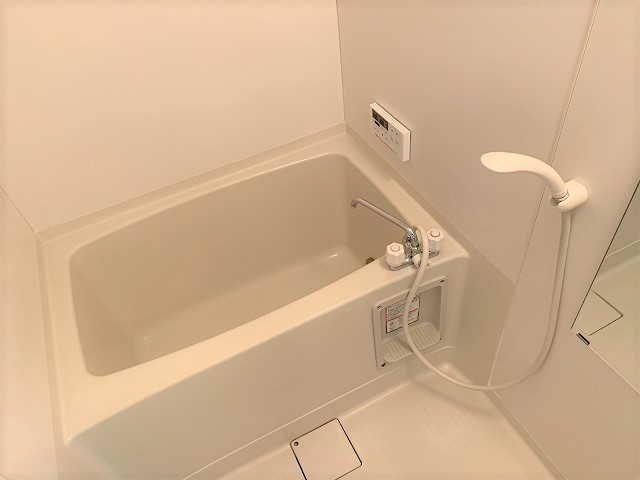 バス