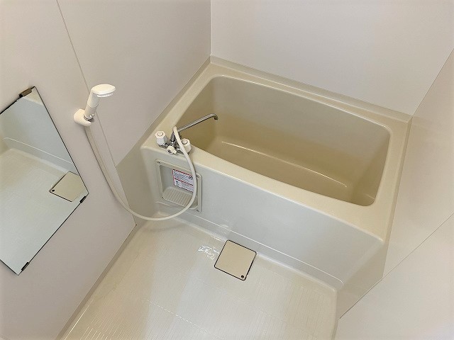 バス