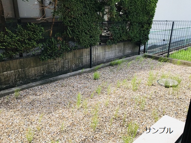 庭