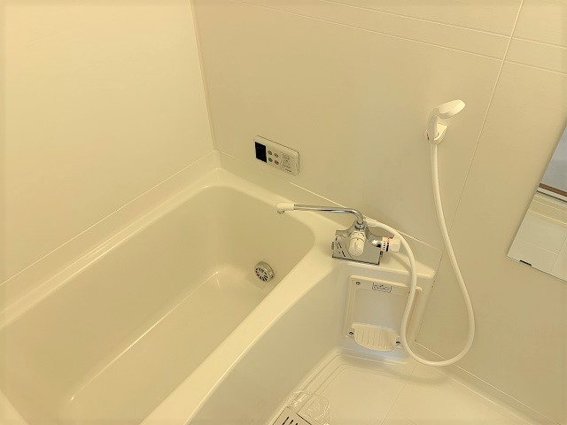 バス