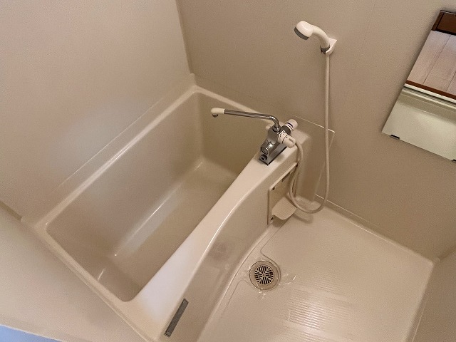バス