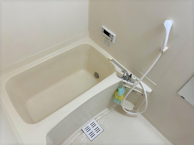 バス