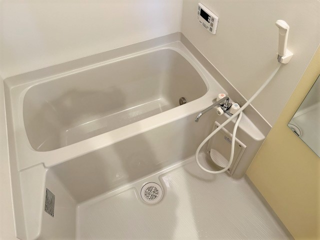 バス